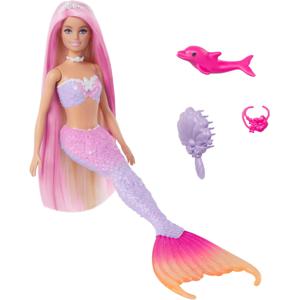 Barbie A Touch of Magic Pop en Accessoires