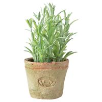 Kunstplant/kruiden rosemarijn - in oude terracotta pot - 16 cm - kruiden   -