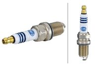 Bougie Iridium Pro 8EH188706061