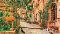 Steeg katten 130x70cm Tuinschilderij - Customize it