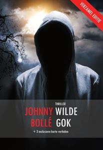Verborgen (Paperback)