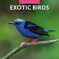 Exotic Birds Kalender 2027