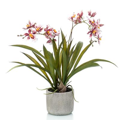 Emerald bordeaux rode orchidee kunstplant - in keramische pot - 45 cm Emerald bordeaux rode orchidee kunstplant - in keramische pot - 45 cm