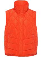 Korte bodywarmer Van BASLER rood