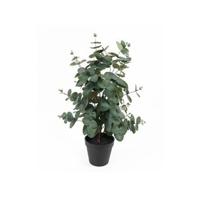 present time - Artificial Plant Eucalyptus Leaf - thumbnail