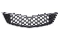 Radiateurgrille 6502071120991P