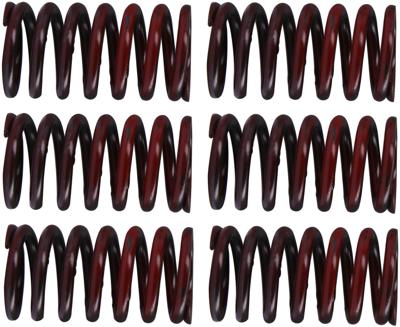 TRW koppelingsveren set clutch spring kit mef317-6