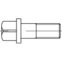 TOOLCRAFT 107940 Vierkantbouten M12 40 mm Vierkant DIN 478 Staal 25 stuk(s) - thumbnail