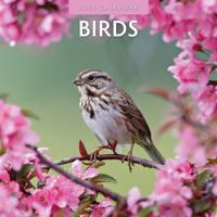 Vogels Kalender 2026