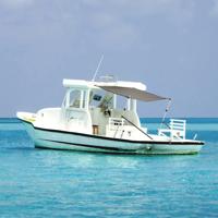 VidaXL Schaduwdoekset t-top 174x205x(115-194) cm antracietkleurig