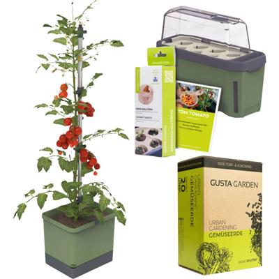 Gusta Garden Tomaten-Starter-Set 5-teilig dunkelgrün TOM TOMATO / HARRY HERBS / Zubehör / W07080 Plantcontainer