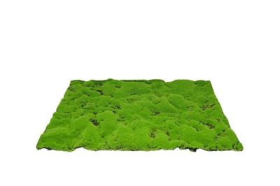 Kunstmos mat medium 70x50 cm groen - My village