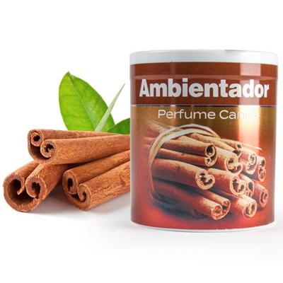 Geur gel Kaneel geur - 95 gram - geur blikje - 6 x 7 cm - auto/interieurparfum/luchtverfrisser