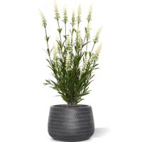 Lavendel kunstplant 50cm - wit - UV bestendig