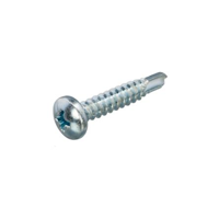 Homefix Plaatschroef Zelfborend Vz Ck PH2 4.2X25 | 12 stuks - 6701.21.10070