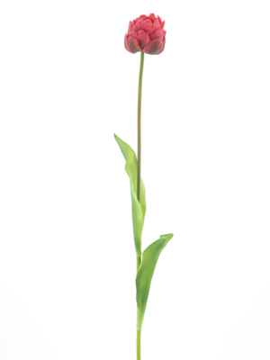 PSO Tulip spray Paris Sally beauty 79 cm kunstbloem - Nova nature