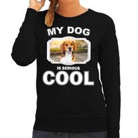 Beagle honden sweater / trui my dog is serious cool zwart voor dames