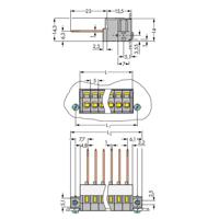 WAGO 731-136/048-000 Veerkrachtklemblok 2.50 mm² Aantal polen 6 Grijs 25 stuk(s) - thumbnail