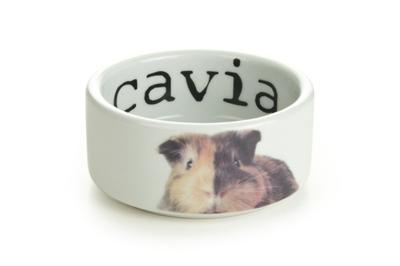 Beeztees Beeztees Snapshot Caviavoerbak Keramiek 10x4cm
