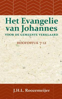Het Evangelie van Johannes voor de Gemeente verklaard 2 (Paperback)