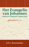 Het Evangelie van Johannes voor de Gemeente verklaard 2 (Paperback)