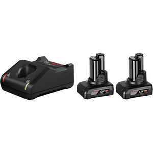 2 x GBA 12V 6.0Ah + GAL 12V-40 Professional Starterset Oplader