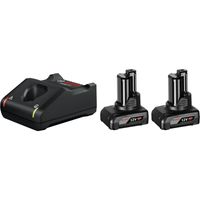 2 x GBA 12V 6.0Ah + GAL 12V-40 Professional Starterset Oplader