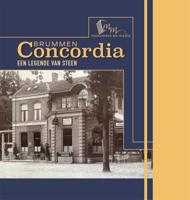 Concordia Brummen, een legende van steen (Hardback)