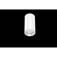 DOTLUX 4356-030036 LED-plafondlamp