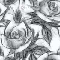 Karo-art Afbeelding op acrylglas  - Bloemmotief met rozen, Zwart wit , 3 maten , Wanddecoratie