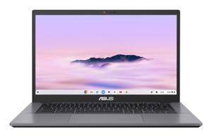 ASUS Chromebook CX3402CBA-PQ0054 Intel® Core™ i3 i3-1215U 35,6 cm (14") Full HD 8 GB LPDDR5-SDRAM 128 GB Flash Wi-Fi 6 (802.11ax) ChromeOS Grijs