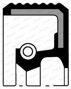 Keerring, differentieel NF836