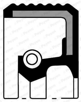 Keerring, differentieel NF836