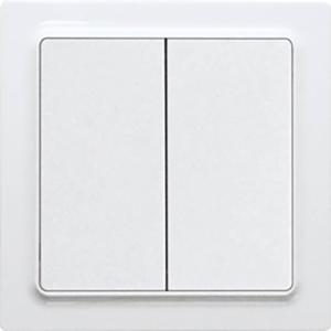 Eltako FT55EH-wg Toets ZigBee Opbouw (op muur)