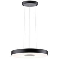 Paulmann Pane II 79517 LED-hanglamp LED 22 W Zwart, Grijs