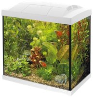 Superfish Start 30 Tropical Kit wit