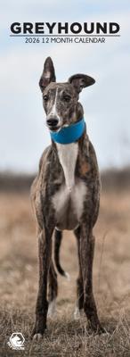 Greyhound Slimline Kalender 2026