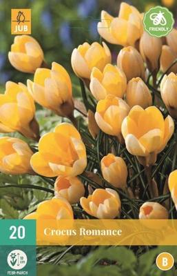 Crocus Romance - Jub