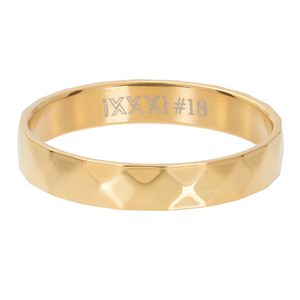 iXXXi Vulring Facet Steel Goud