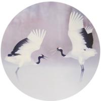 Schilderij kraanvogels 78 cm | 4 stuks