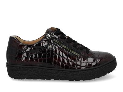 Hartjes Phil 162.1402 bordeaux bordo maat 40.5