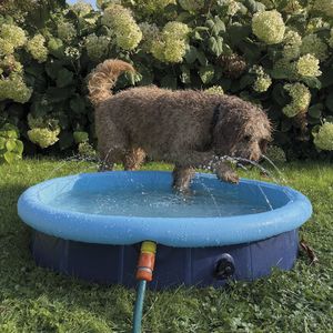 Nobby 62297 hondenzwembadje Opblaasbaar badje voor huisdieren