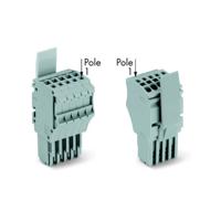 WAGO 2020-102/122-000 Connector, female Grijs 100 stuk(s)