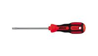 4tecx Schroevendraaier Torx Tx-25 100mm
