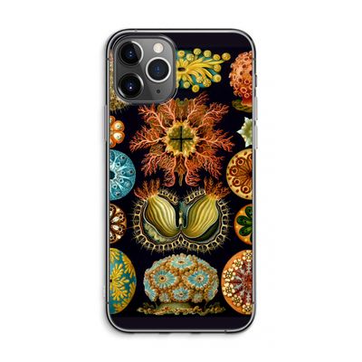 Haeckel Ascidiae: iPhone 11 Pro Max Transparant Hoesje