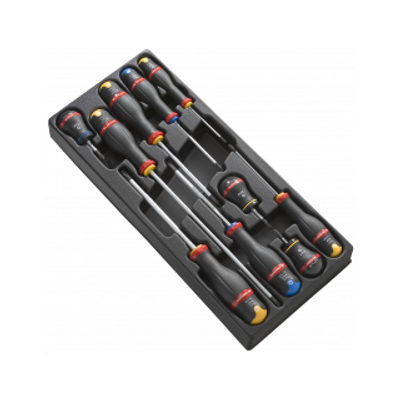 Facom MODULE VAN 10 PROTWIST® SCHROEVENDRAAIERS - MOD.AT5