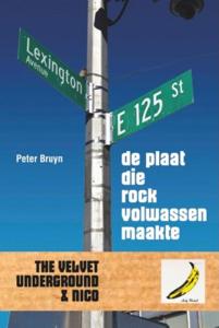 De plaat die rock volwassen maakte (Paperback)