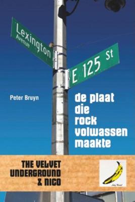 De plaat die rock volwassen maakte (Paperback)