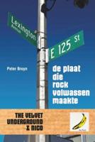 De plaat die rock volwassen maakte (Paperback)