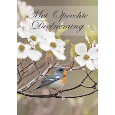 Wenskaarten Rouw pak a 10 stuks